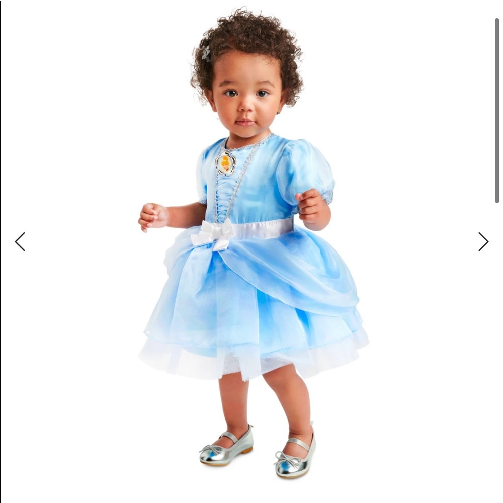 Cinderella Costume